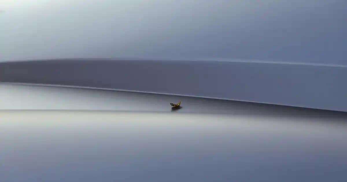 Dört Kişilik Ailelerde Gıda Harcamalarını Azaltma ve Tasarruf Yöntemleri