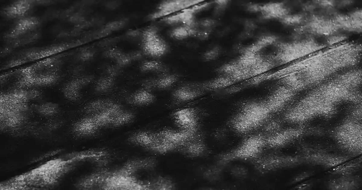 Ekonomik ve Besleyici Aile Burritosu Tarifi: Uygun Maliyetli ve Pratik Öğün Hazırlama