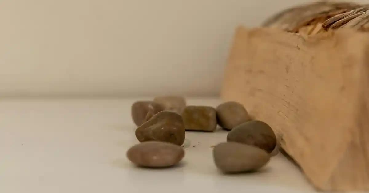 Elektrik Kesintisinde Dış Ortamda Gıda Saklama: Güvenlik ve Uygulama Rehberi