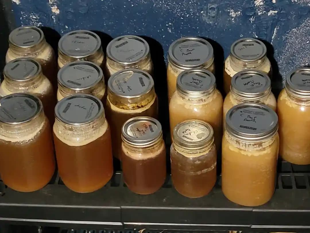 Ev Yapımı Kemik Suyu ve Stok Üretimi: Fiyat, Teknikler ve Saklama Yöntemleri