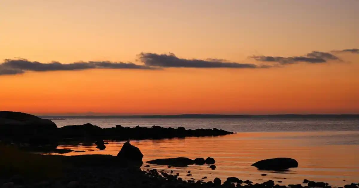 Fasulye ve Pirinç Dışında Uygun Fiyatlı Protein ve Kalori Kaynakları Nelerdir?