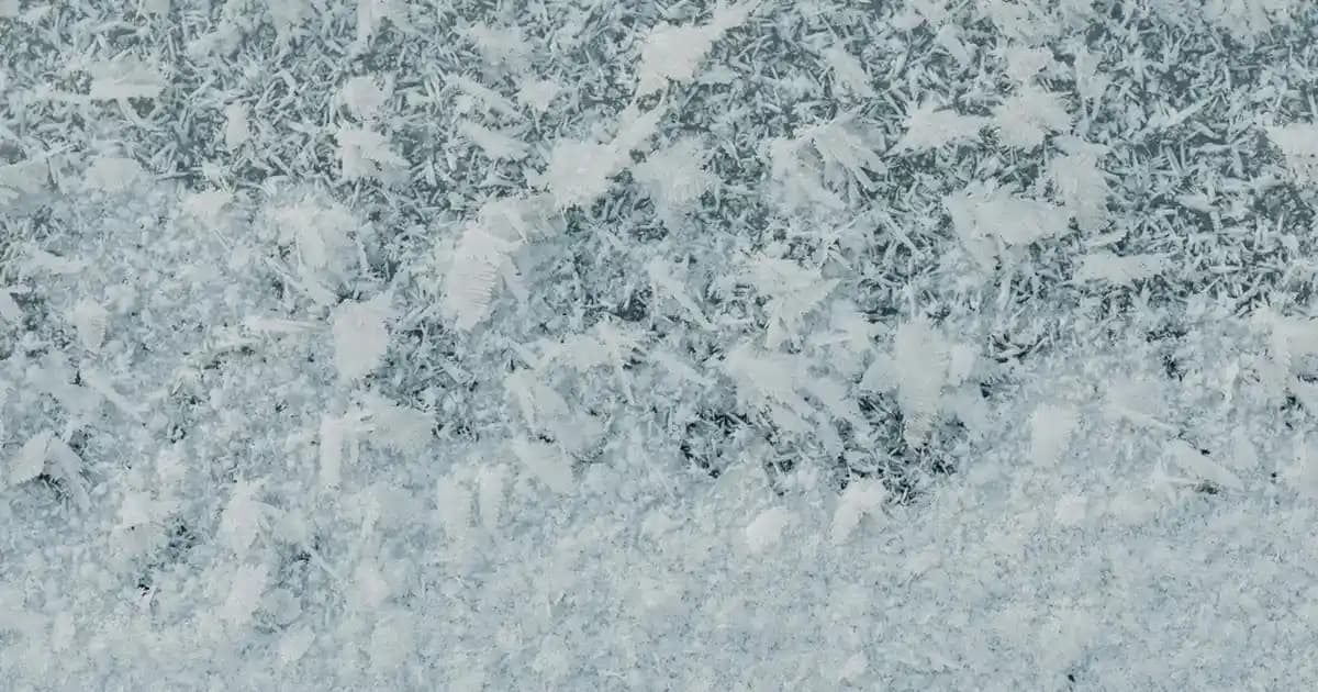 Gıda Bankası Kıymasıyla Hazırlanabilecek Çeşitli Tarifler ve Püf Noktaları