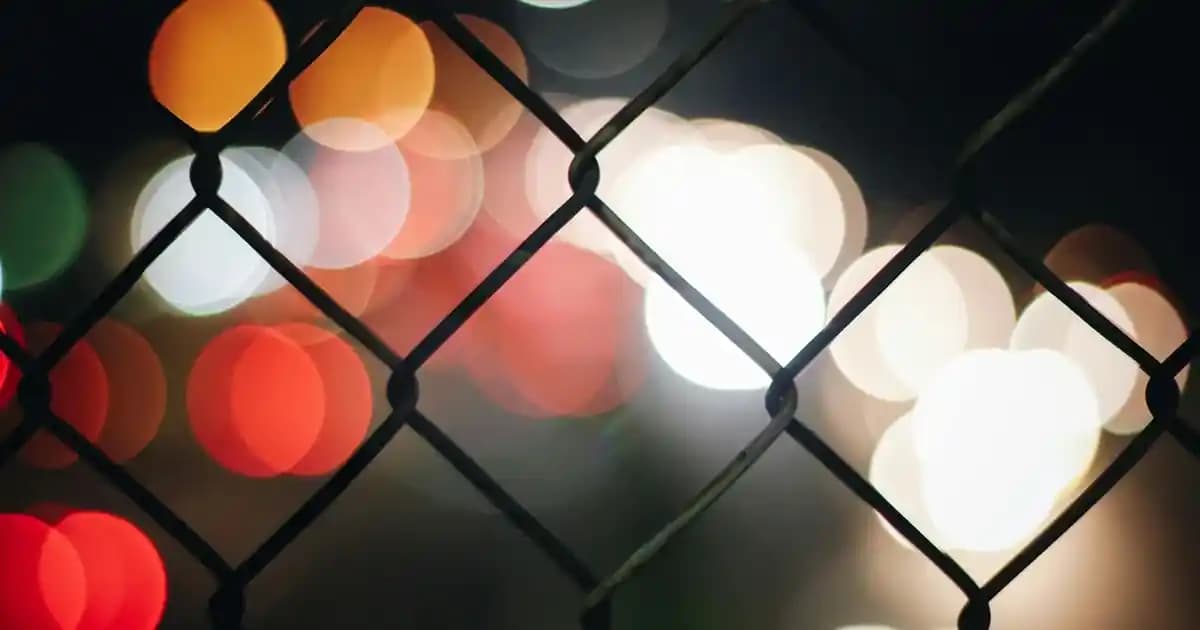 Kanada'da No Frills Market Ürünleriyle Uygun Fiyatlı Protein Kaynakları Analizi