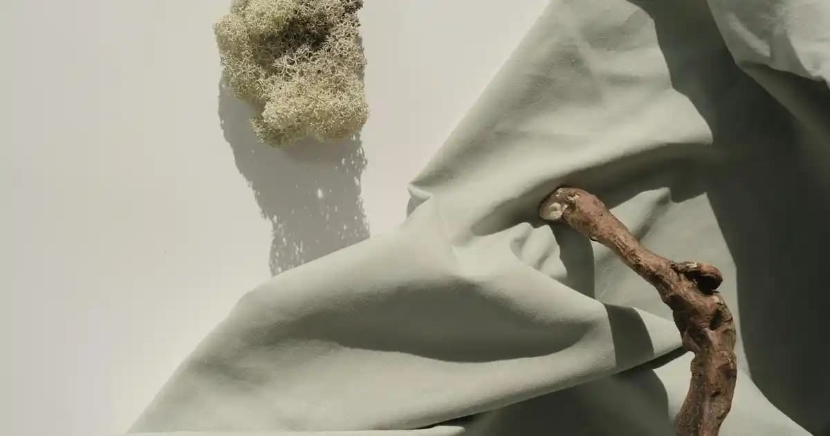 Kaynar Su ile Hızlı ve Pratik Yemek Hazırlama Yöntemleri ve Önerileri