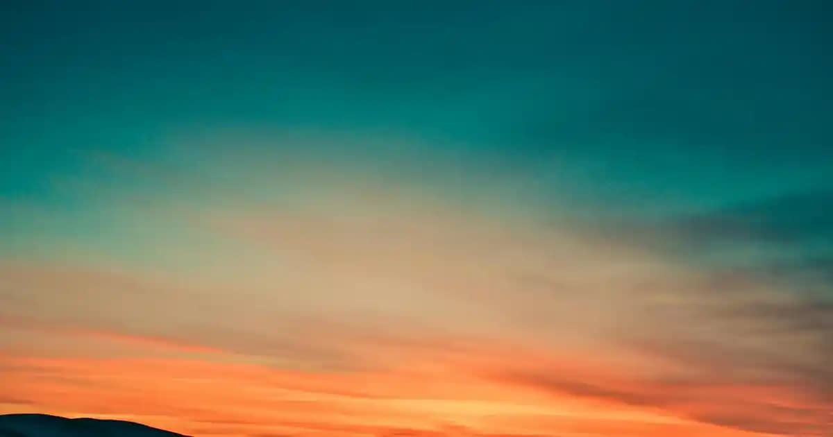 Kinoayı Kızartarak Pişirmenin Lezzet ve Besin Değerlerine Etkisi Üzerine İnceleme