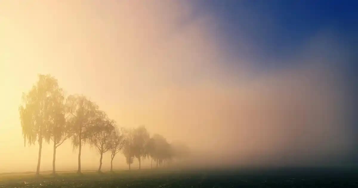 Tatlı Quesadilla Tarifleri: Ekonomik ve Pratik Tatlı Hazırlama Yöntemleri