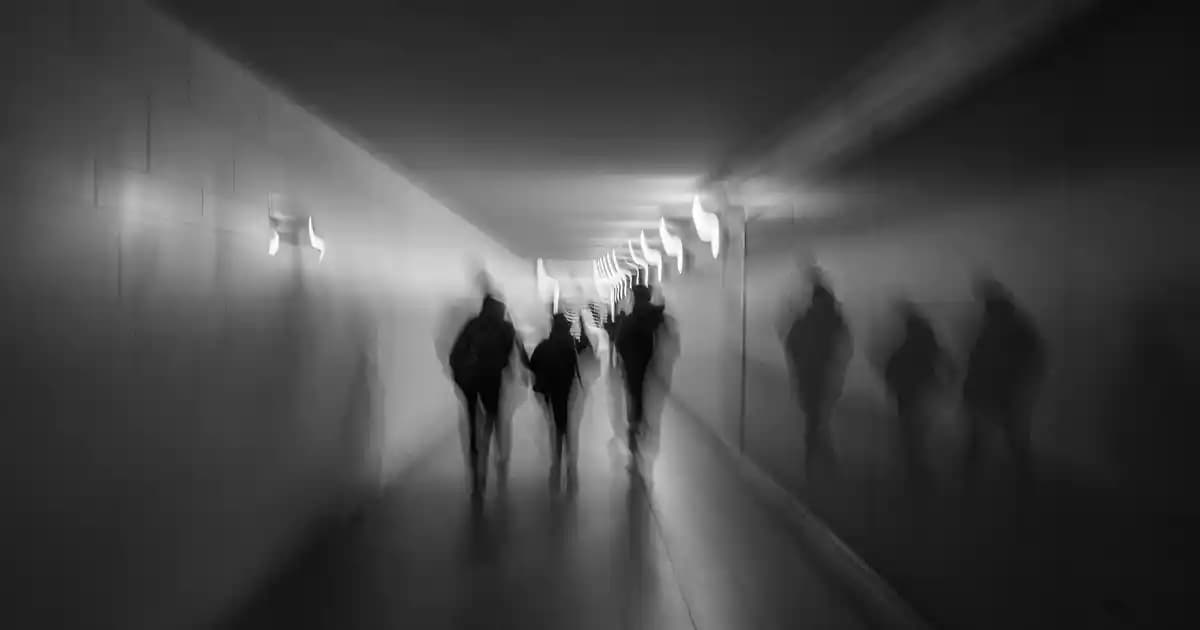 The Old Spaghetti Factory'de Kullanılan Mizithra Peyniri ve Alternatifleri Hakkında Detaylı Bilgi