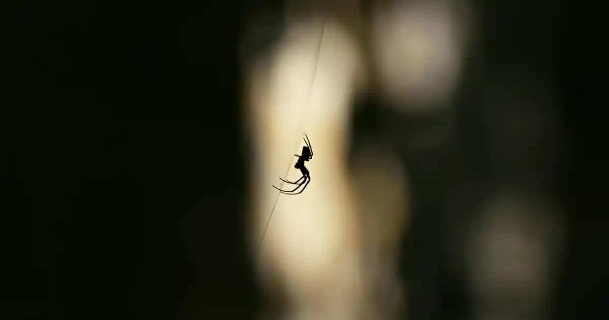 Ucuz ve Dayanıklı Ürünler Arasında Ekonomik ve Çevresel Dengeyi Anlamak