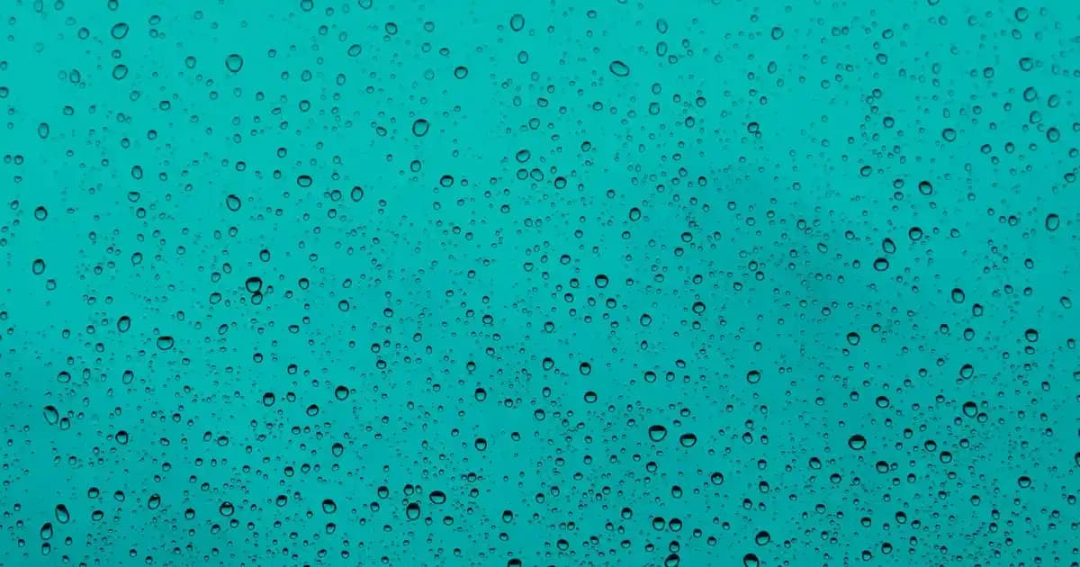 Ucuz ve Pratik Yemek Planlama: 10 Dolarla 3 Gün Boyunca Ekonomik Beslenme Yöntemleri