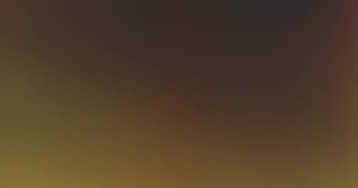 Wrap Tarifleri: Nohutlu, Tavuklu ve Vejetaryen Pratik Hazırlama Yöntemleri