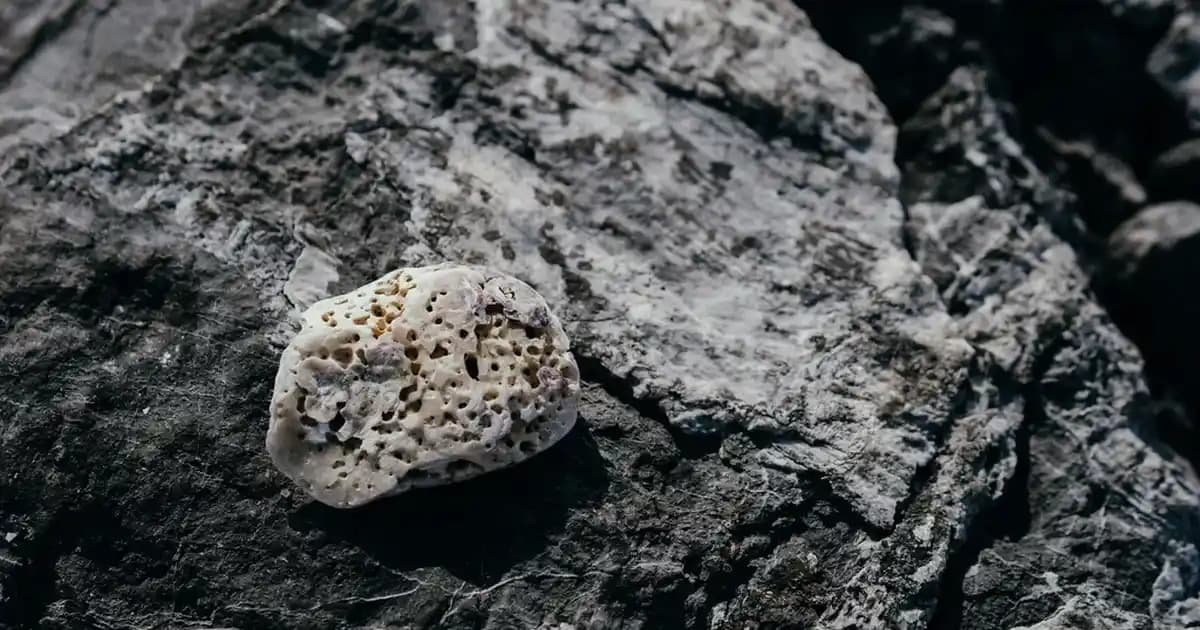 Yeni Yıl Kutlamalarında Ev Yapımı Derin Tabanlı Pizza ve Parti Yemekleriyle Ekonomik Lezzetler