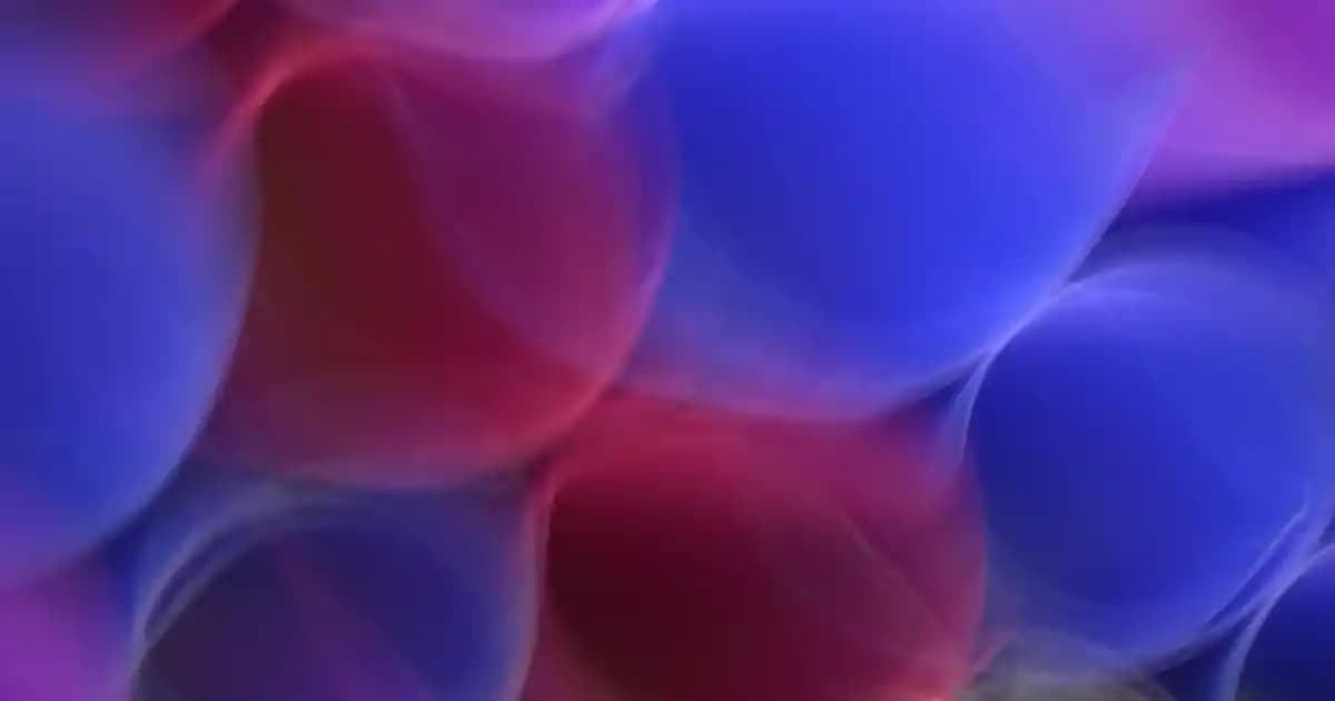 Yüksek Proteinli ve Düşük Yağlı Atıştırmalıklar: Sağlıklı Seçenekler ve Pratik Öneriler