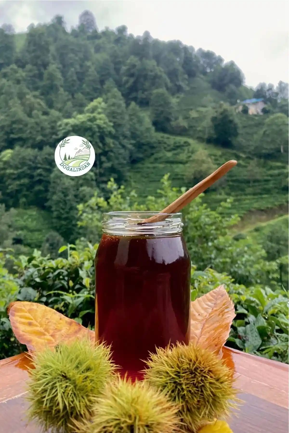 Artvin Kestane Balı 500 GR Doğal ve Şifalı Bal Ürünü Sağlıklı Tüketim İçin