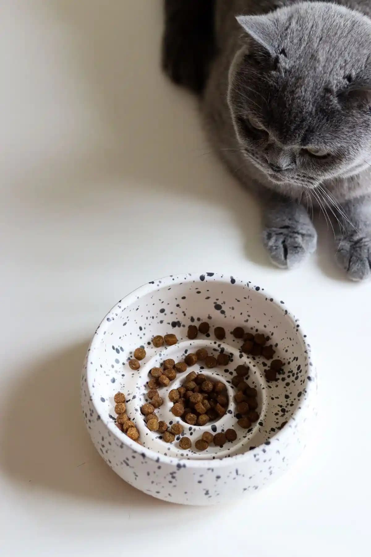 Beige & Stone Yavaş Yeme Seramik Mama Kabı - Doğal, Hijyenik ve Dayanıklı Tasarım