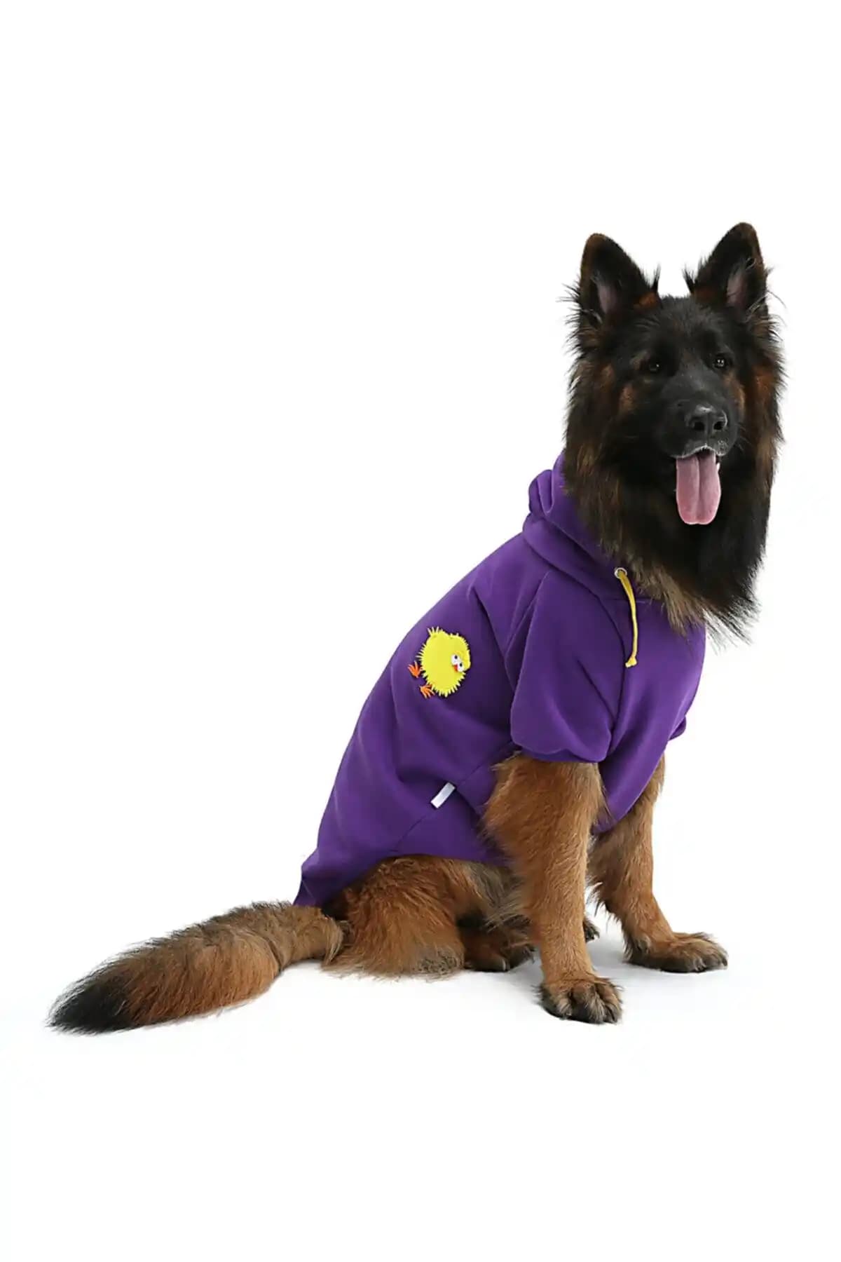 DOGİ&DOG Büyük Irk Civciv Köpek Sweatshirt İncelemesi ve Kullanım Kılavuzu