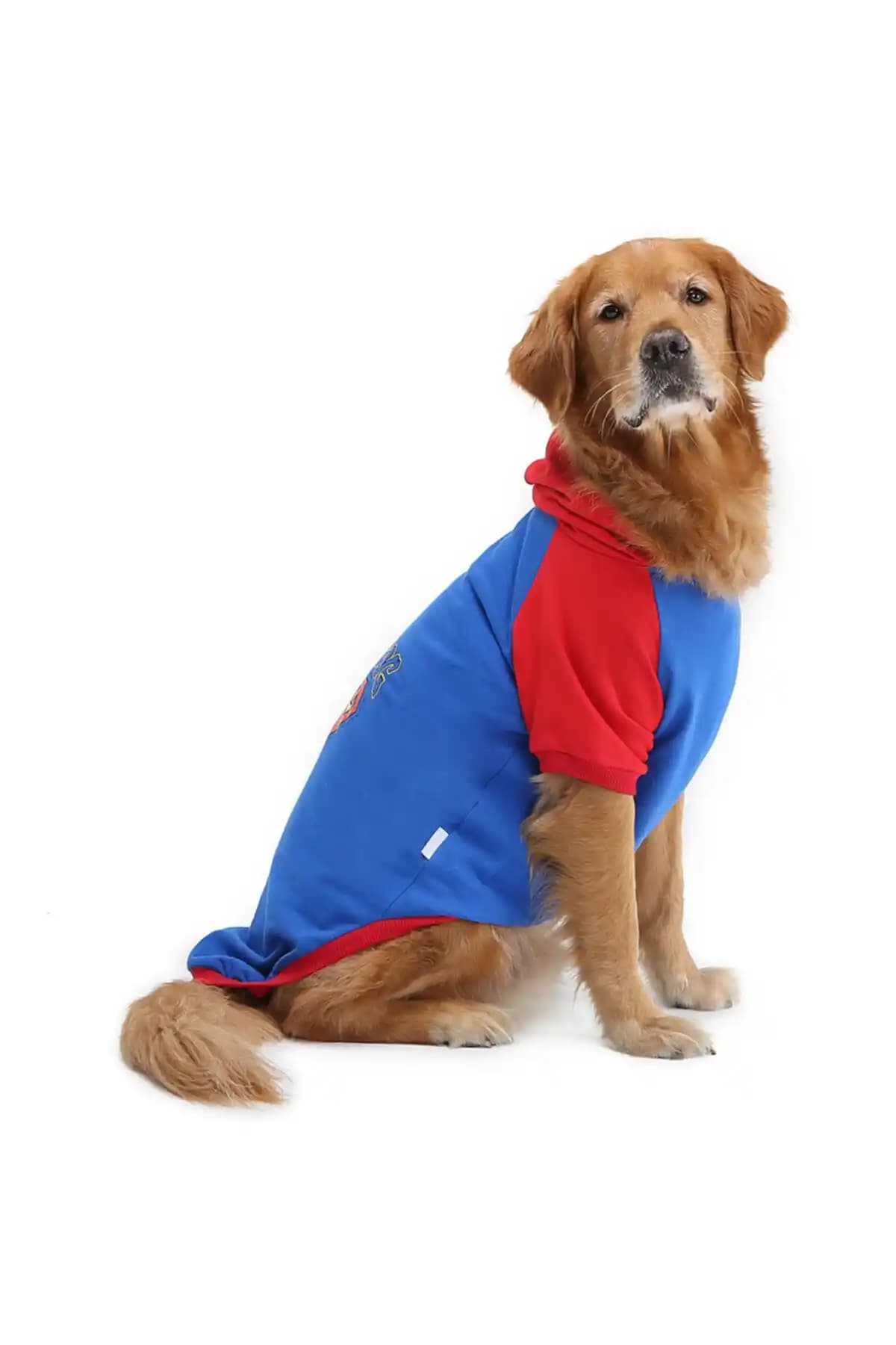 DOGİ&DOG Büyük Irk Köpekler İçin Sıcak ve Dayanıklı Sweatshirt İncelemesi