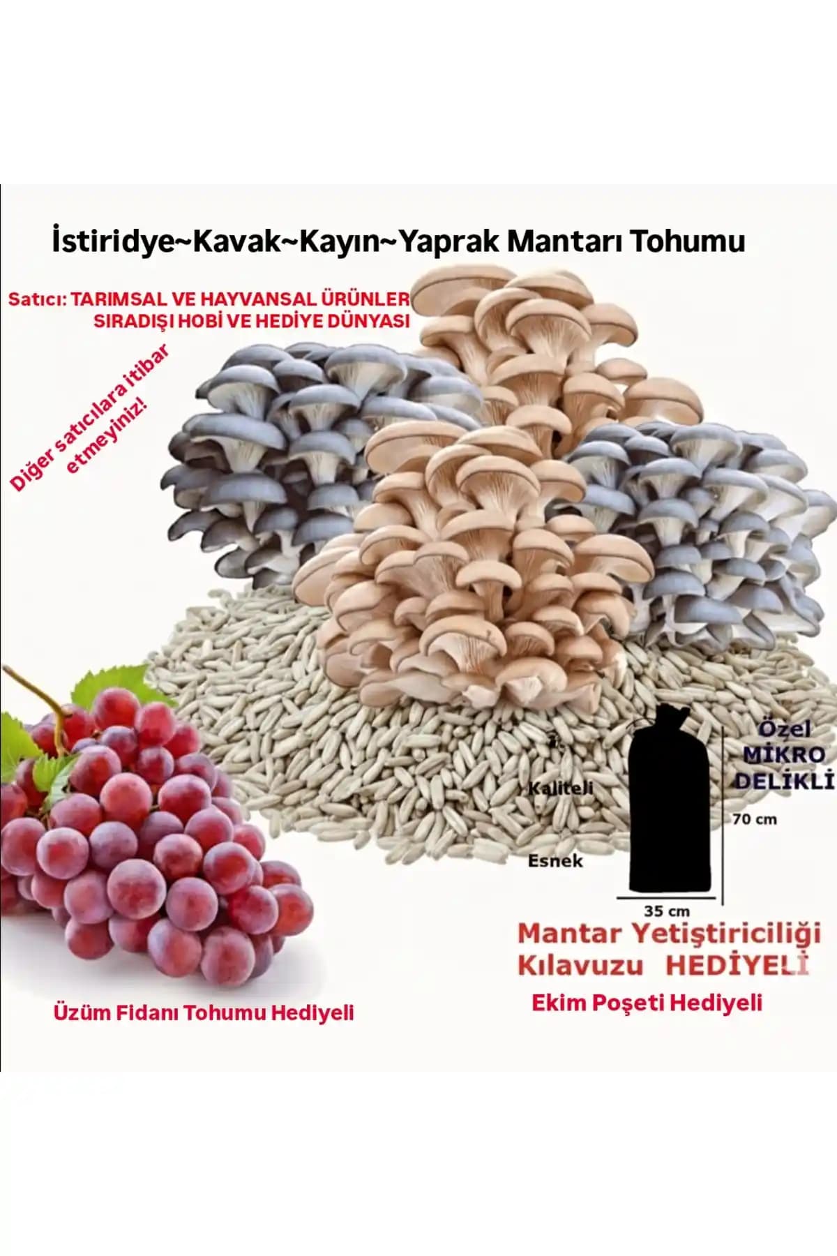 Genel Markalar 3000 Adet İstiridye Kavak Kayın Yaprak Mantarı Tohumu Üretim ve Yetiştirme Rehberi