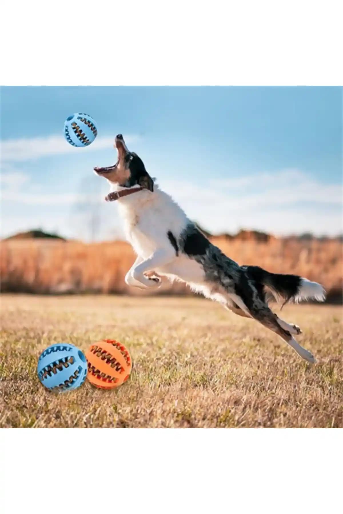 Genel Markalar Mama Hazneli Köpek Eğitim ve Oyun Topu İncelemesi ve Kullanım Rehberi