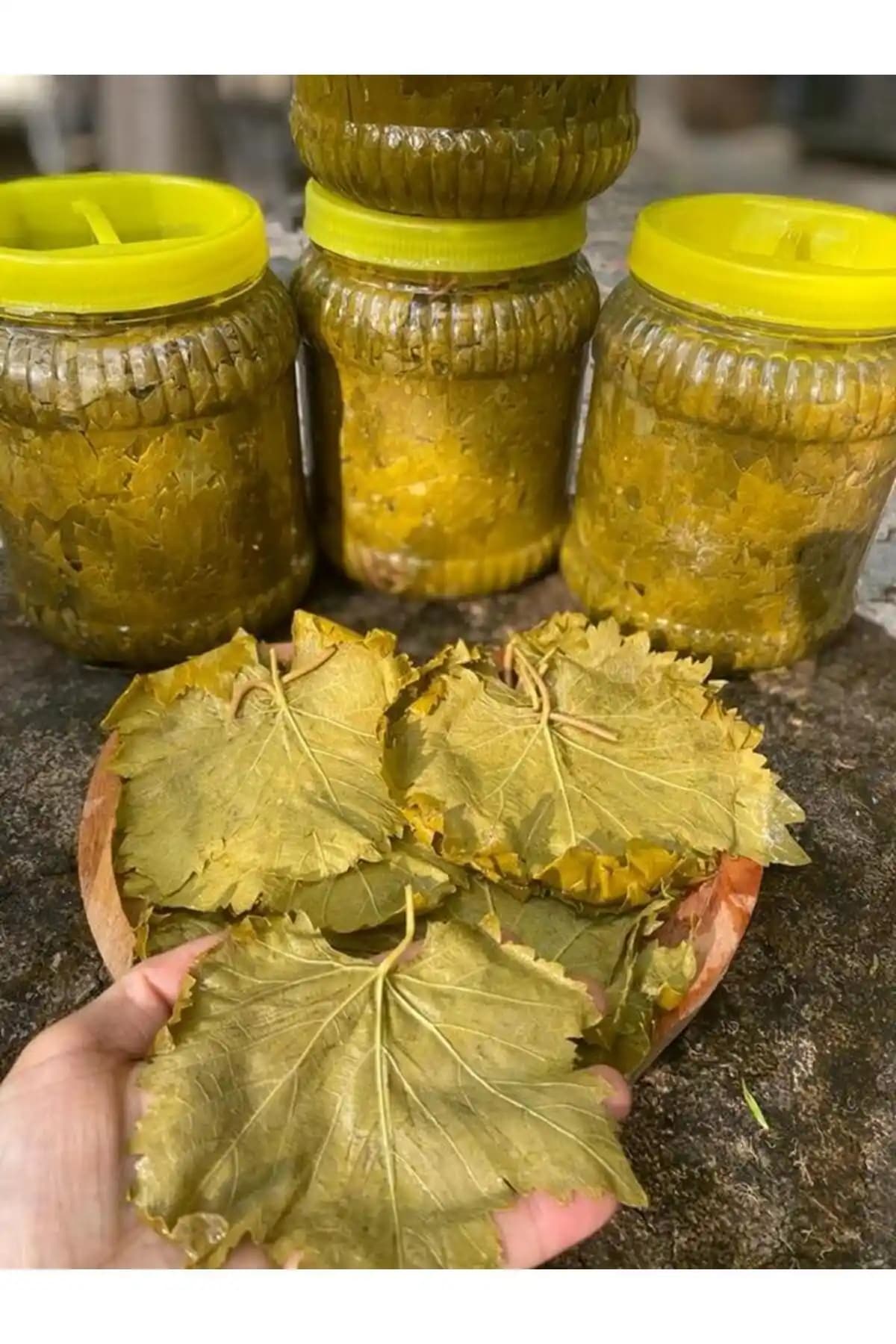 Hayriye Ana Salamura Asma Yaprak 1 Kg: Geleneksel Yemekler İçin Pratik ve Yüksek Kaliteli Malzeme