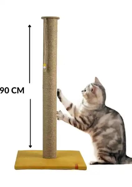 Kedi Tırmalama Ürünleri Karşılaştırması: Pugalo ve Turkuaz Modellerinin Özellikleri ve Kullanıcı Yorumları