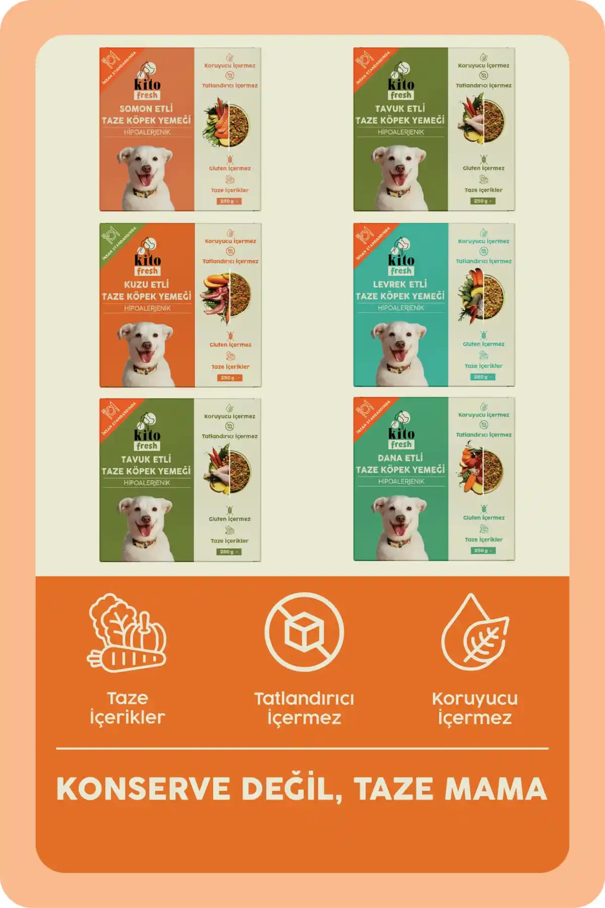 Kito Fresh Tanışma Paketi: Doğal ve Sağlıklı Köpek Maması Seçeneği