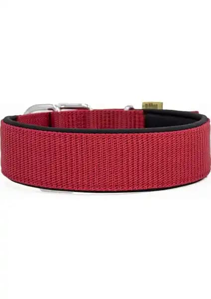 Köpek Boyun Tasması Seçerken Malzeme, Konfor ve Tasarım Kriterleri