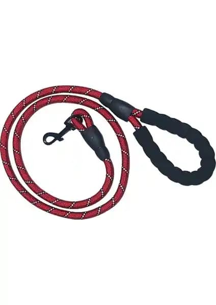 Köpek Gezdirme Kayışı ve Tasması Karşılaştırması: Malzeme, Konfor ve Dayanıklılık Analizi