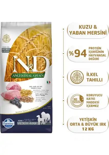 N&D Düşük Tahıllı Kuzu Etli Yaban Mersinli Yetişkin Köpek Maması İncelemesi ve Özellikleri