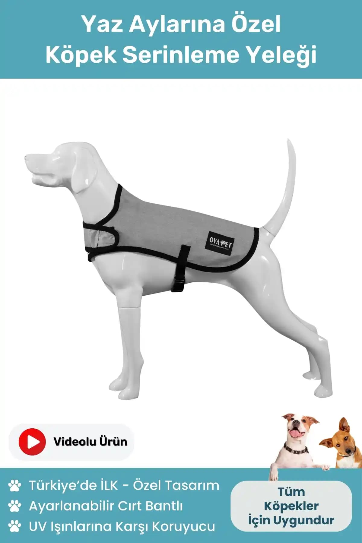 Oyapet UV Koruma Özelliğiyle Yaz Aylarında Köpekler İçin Serinleme Yeleği