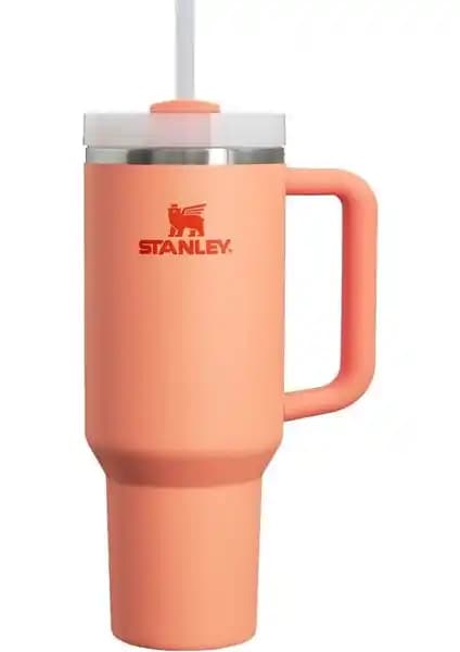 Stanley Termos ve Bardak Karşılaştırması: Kapasite, Yalıtım ve Kullanım Özellikleri