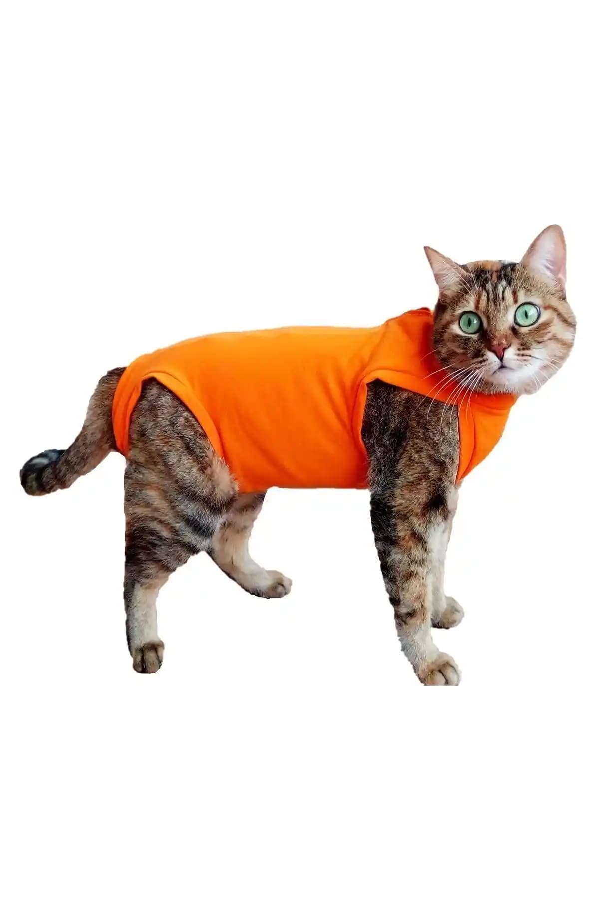 Stylie Ameliyat Sonrası Koruyucu Kedi Köpek Tulumu: Konforlu ve Hijyenik İyileşme Çözümü