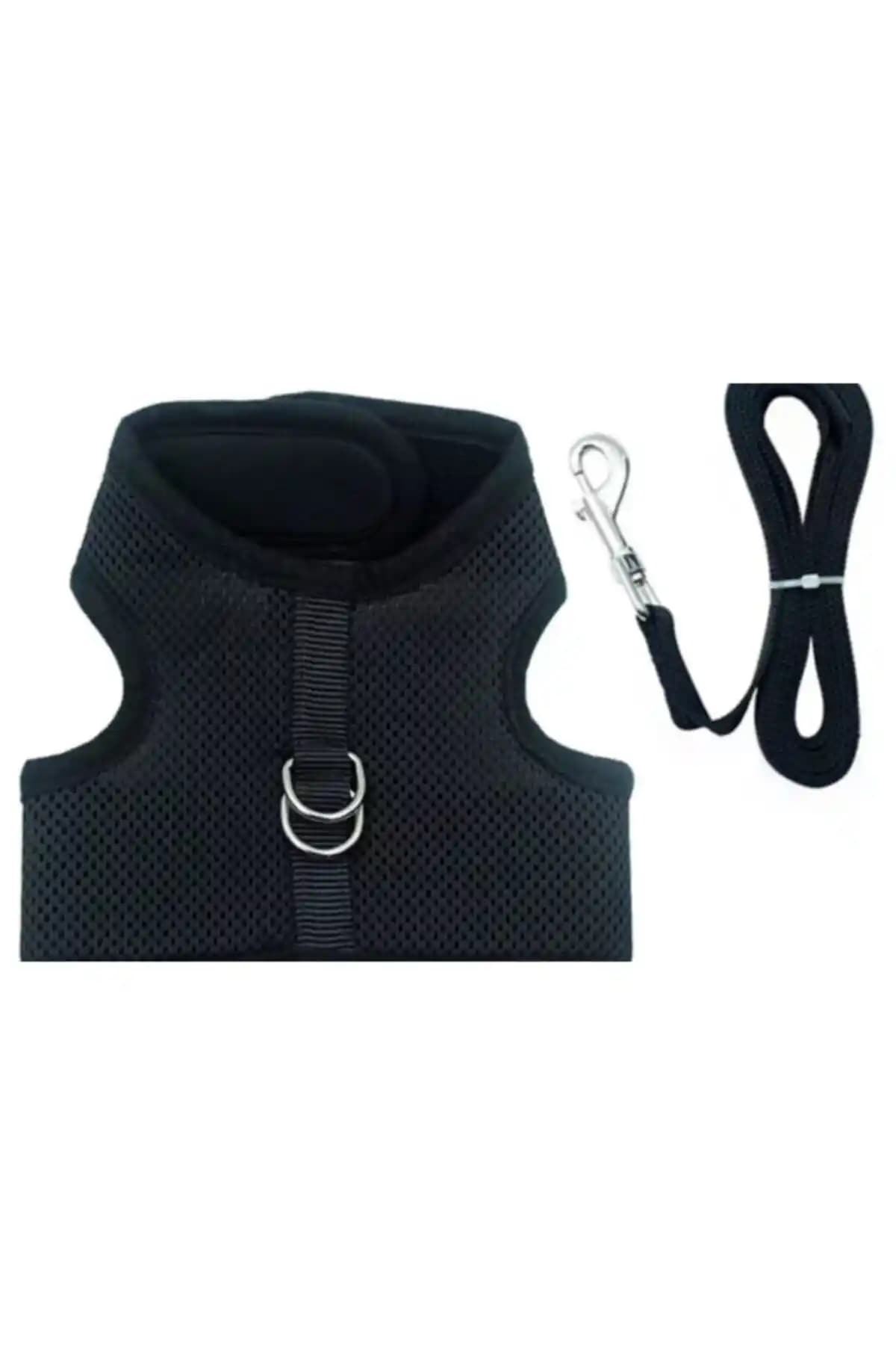 USTA Kedi Göğüs Tasması: Güvenlik ve Konfor Sunan Dayanıklı Tasarım Özellikleri