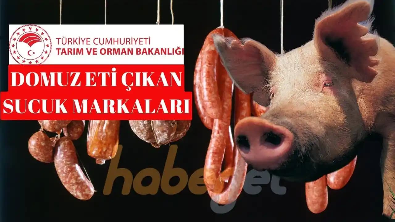 2024 Domuz Eti Fiyatları ve Piyasa Durumu Analizi