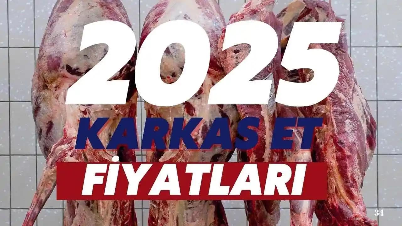 2025 Ege Bölgesinde Karkas Et Fiyat Trendleri ve Piyasa Analizleri