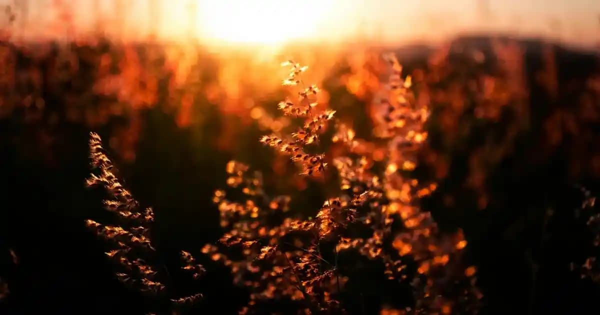 Açık Hava Etkinlikleri İçin Dayanıklı Termal Çanta Seçimi ve Kullanım İpuçları