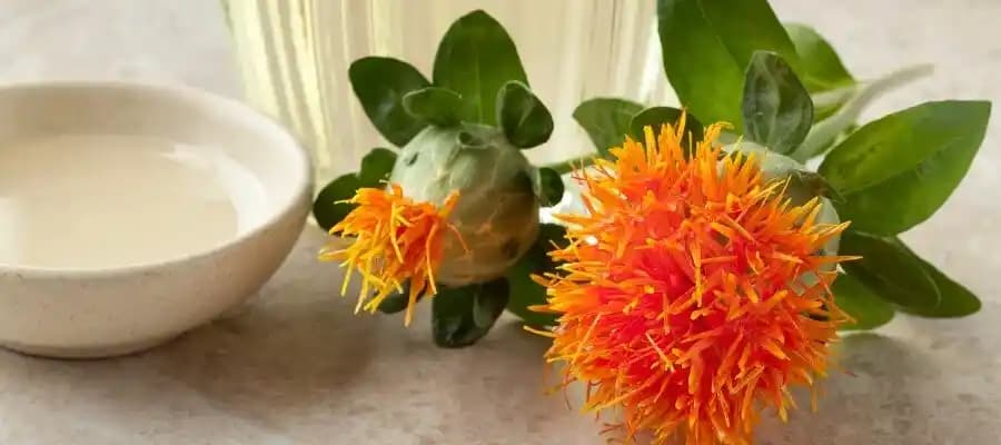 Aspir Yağı ve Cilt Sağlığı Üzerindeki Potansiyel Faydaları Hakkında Bilgi