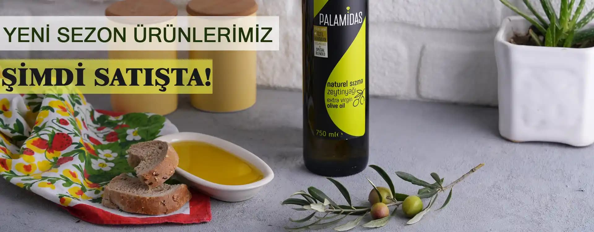 Ayvalık Zeytinyağı Özellikleri ve Kullanım Alanları Hakkında Kapsamlı Bilgi