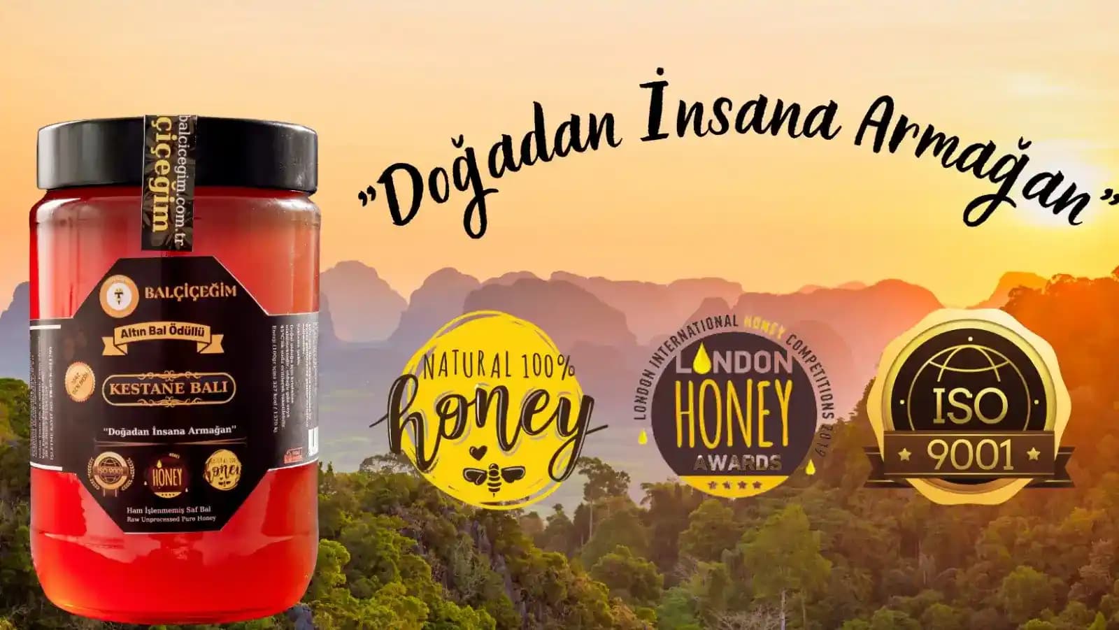 Balın Doğallığı ve Sağlığa Katkıları: En Güvenilir Doğal Bal Seçenekleri