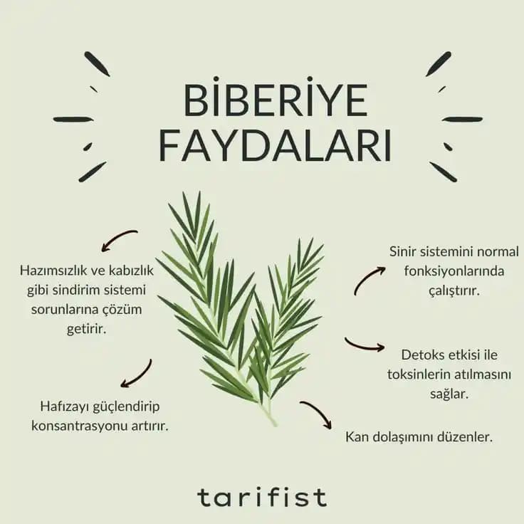 Biberiyenin Sağlık Faydaları ve Mutfaktaki Kullanım Alanları