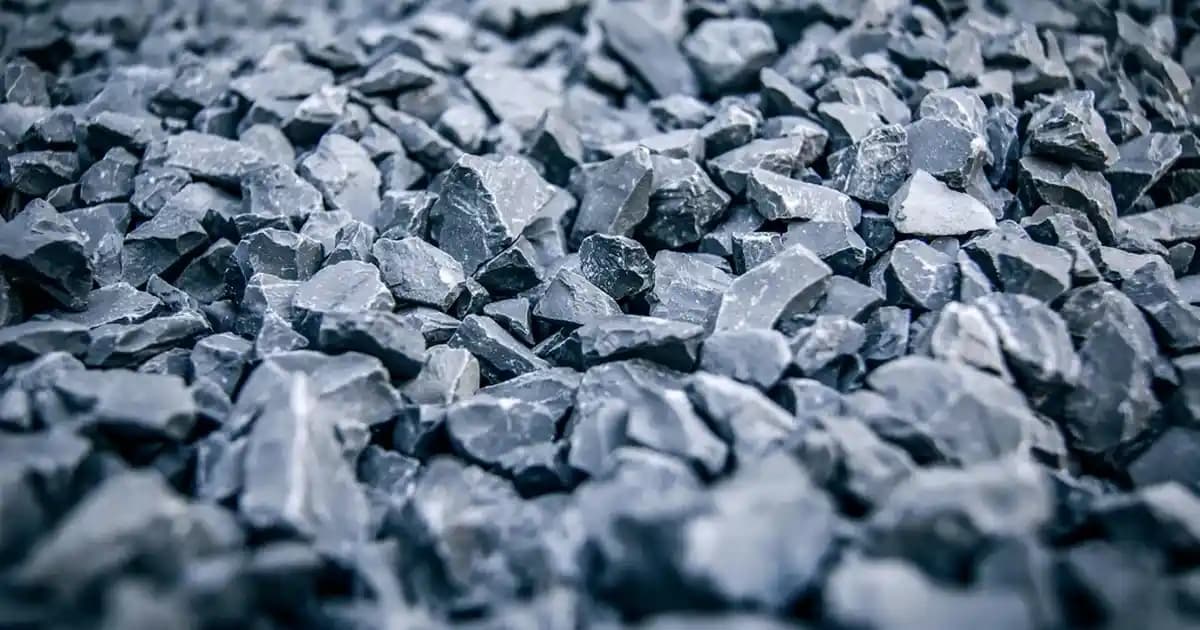 Böğürtlen Aromalı Alkolsüz İçeceklerin Özellikleri ve Piyasa Analizi