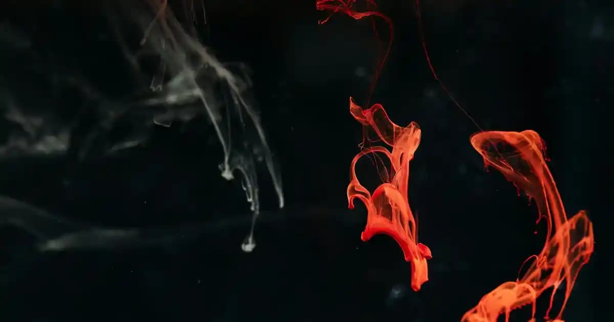 Çaykur ve Teyze Sevinc Yeşil Çay Farkları Sağlık ve Kalite Açısından Analizi