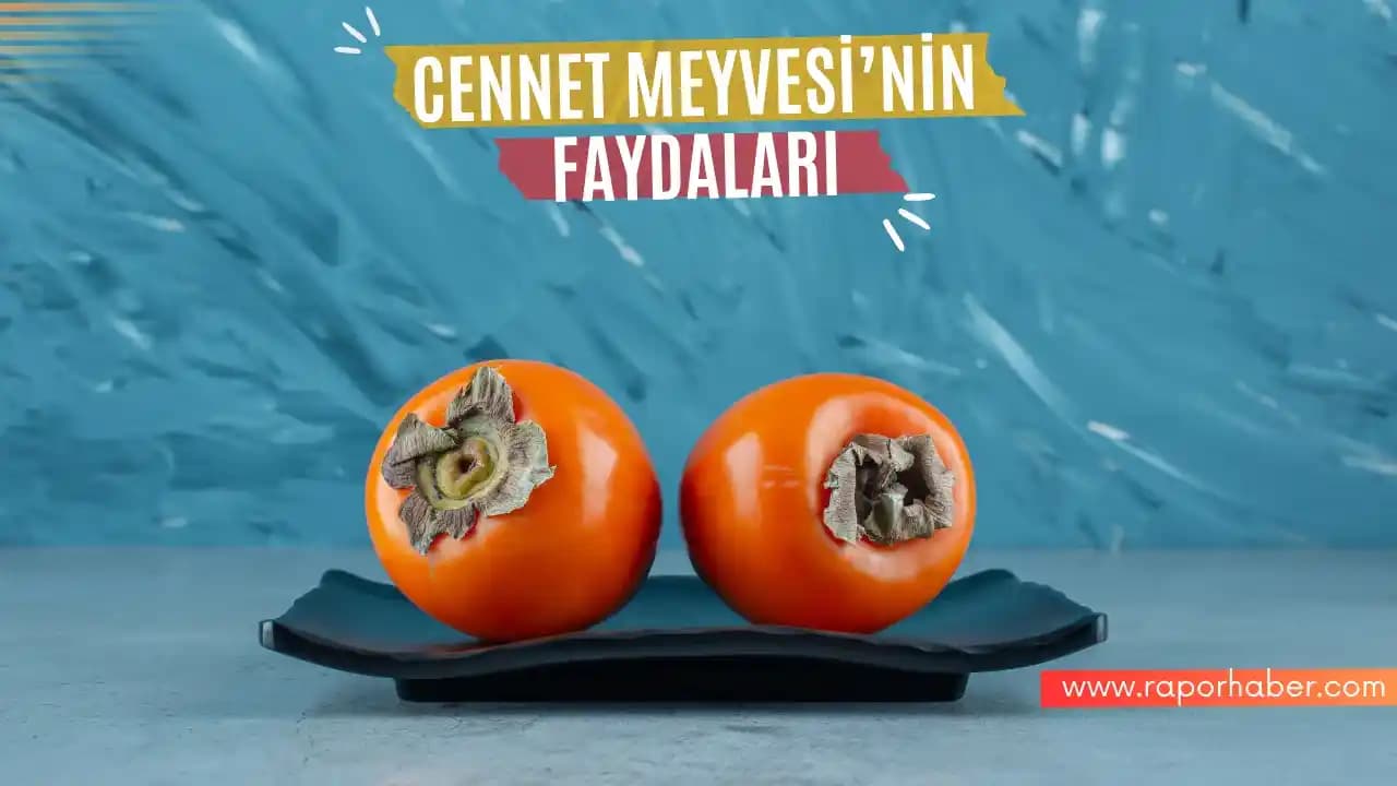 Cennet Hurması: Sağlıklı ve Doğal Bir Meyve Seçeneği
