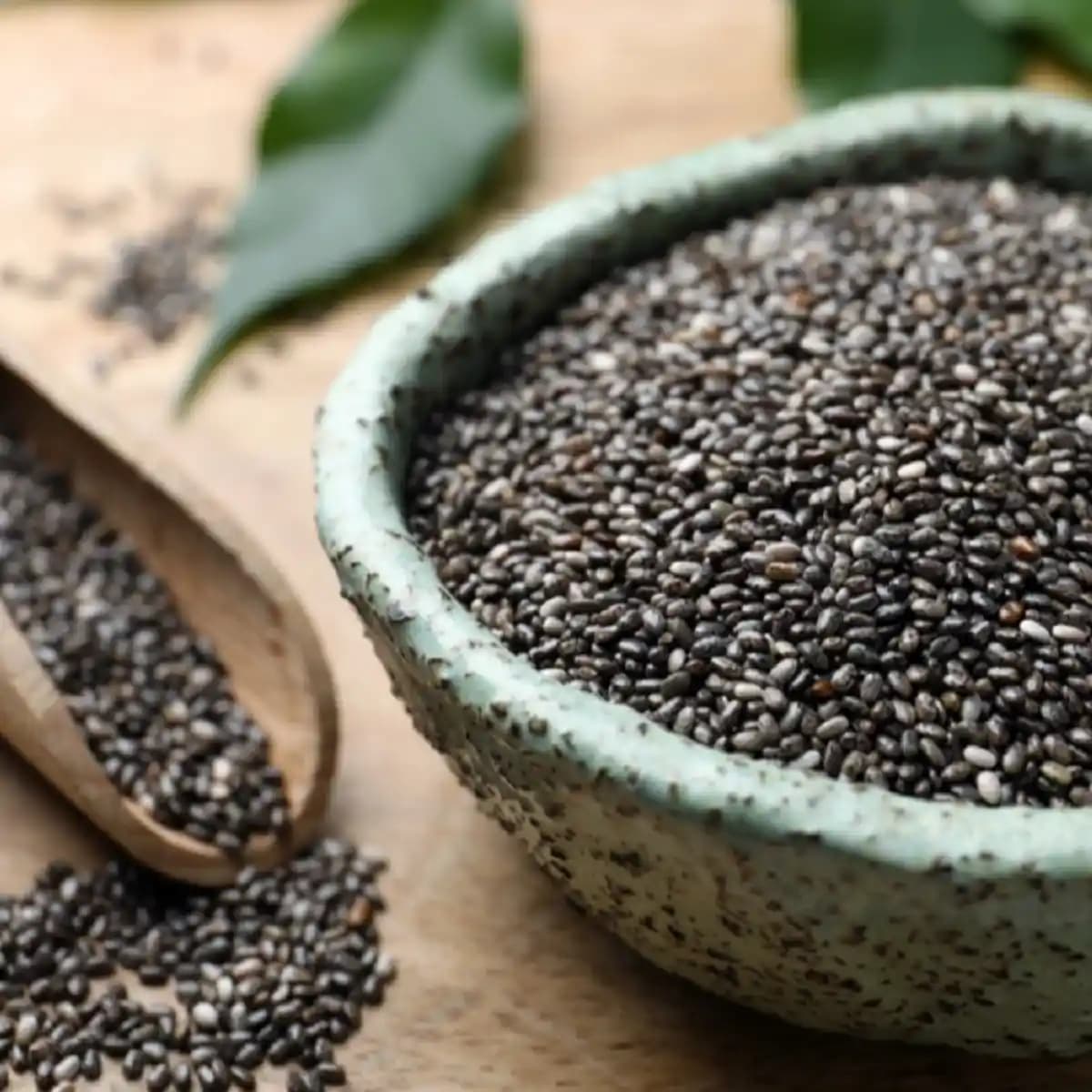Chia Tohumu Nerelerde Satılır ve Alışverişte Dikkat Edilmesi Gerekenler