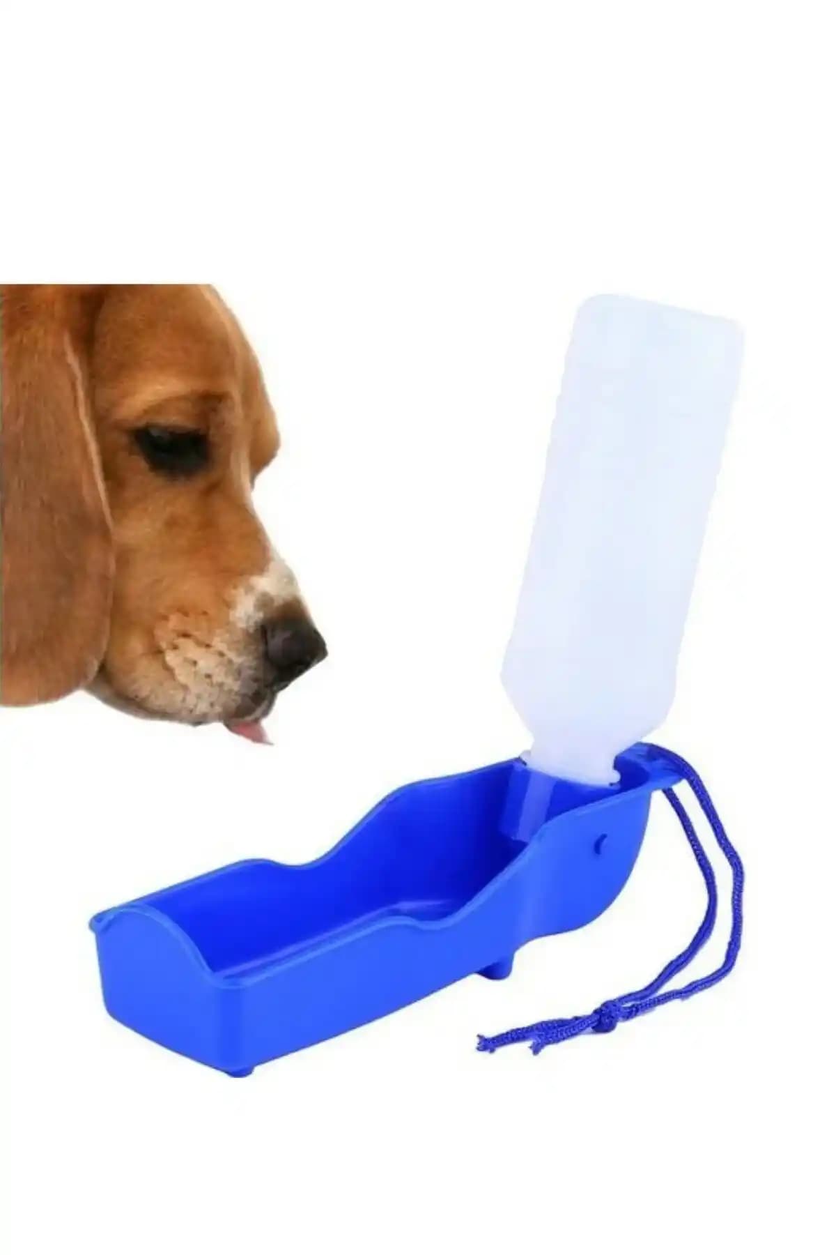 Dayanıklı Pet Ürünleri ve Havaya Suluklar: Evcil Hayvanlar İçin Güvenli ve Uzun Ömürlü Seçenekler