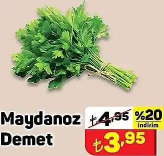 Demet Maydanozun Gram Ağırlığı ve Kullanım İpuçları Hakkında Detaylı Bilgi