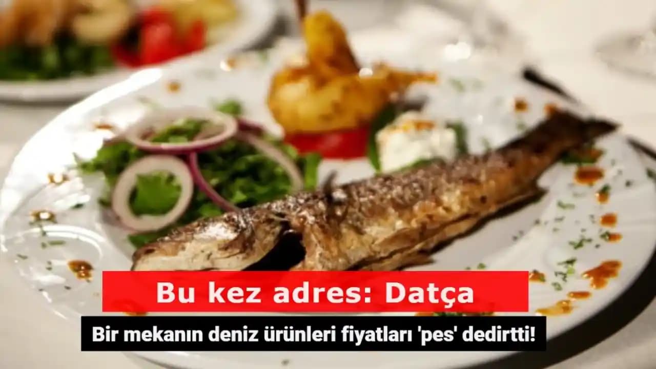 Deniz Ürünleri Fiyat Kampanyaları ve Karşılaştırma Yöntemleri Analizi