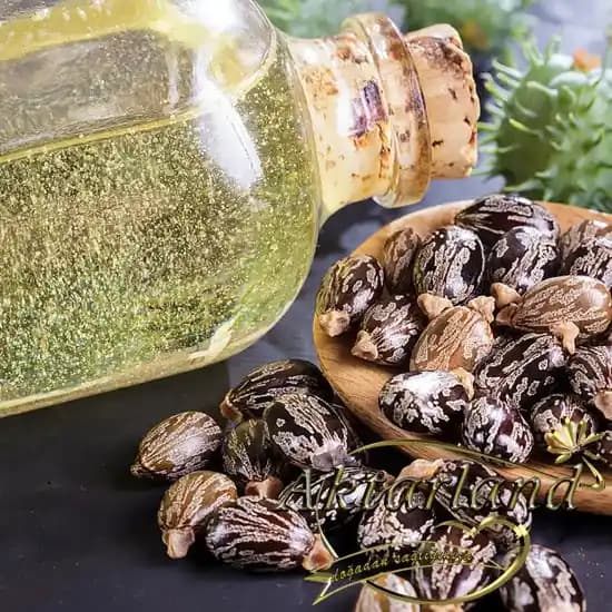 Doğal Hint Yağı ve Faydaları: Saç ve Cilt Bakımında Güvenilir Bir Seçenek