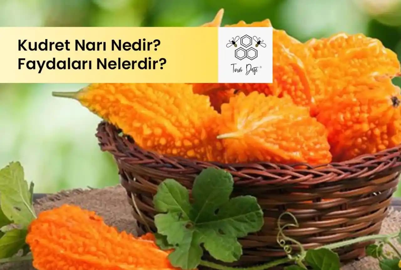 Doğal Kudret Narı Reflu Suyu ile Mide Sağlığını Destekleyin ve Rahatlayın