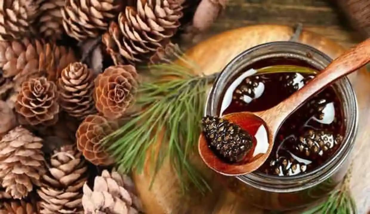 Doğal Servi Kozalak Şurubu: Sağlık ve Doğallığın Buluşması İçin Güçlü Bir Alternatif