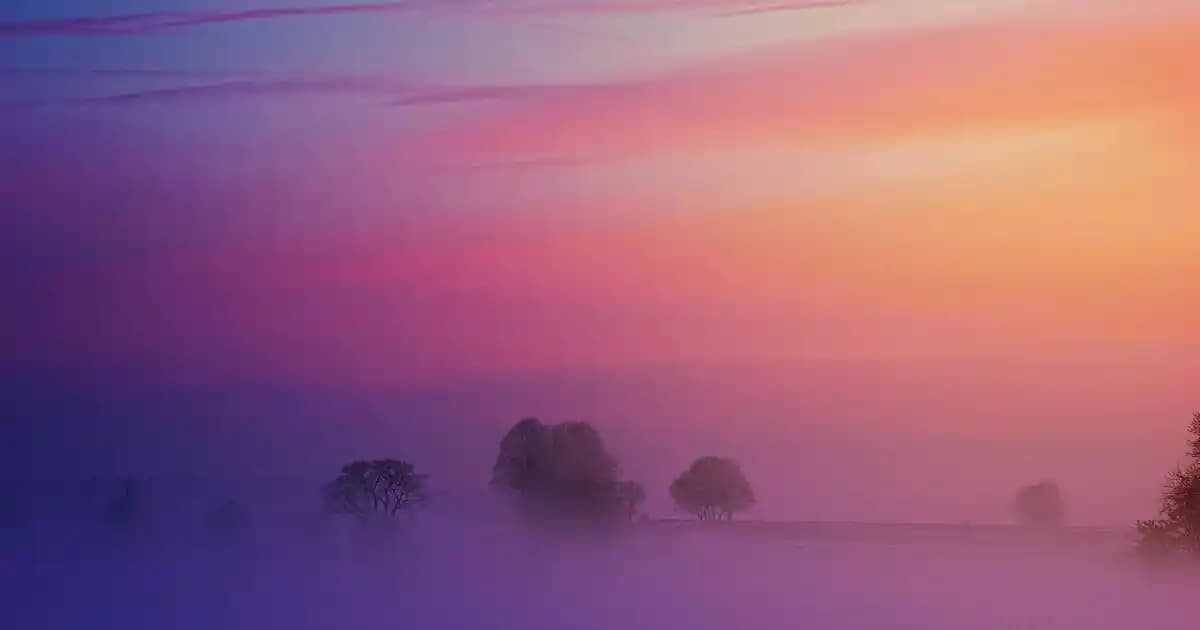 Doğal Sızma Zeytinyağı Seçiminde Dikkat Edilmesi Gerekenler ve Kalite Kriterleri